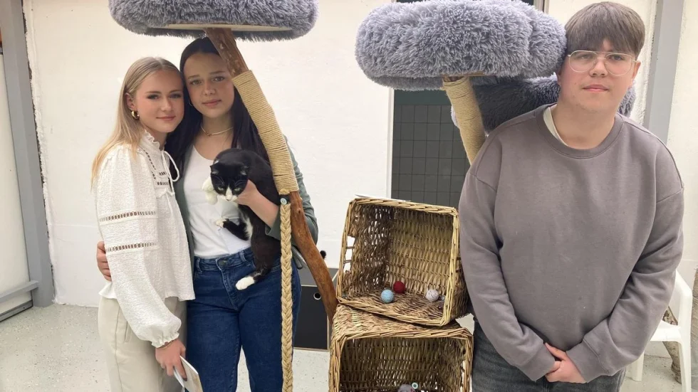“Wir wollten anderen helfen”- ein neuer Katzenbaum fürs Tierheim Eisenberg