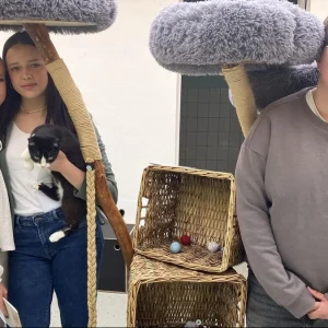 “Wir wollten anderen helfen”- ein neuer Katzenbaum fürs Tierheim Eisenberg